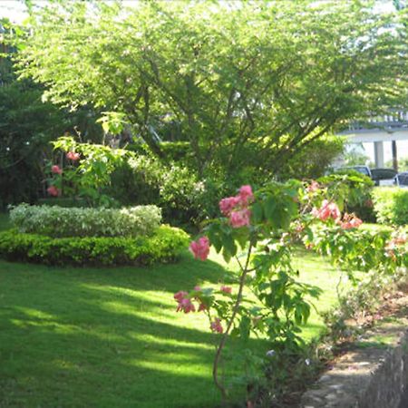 Paradise Brandon Hill Guest House Montego Bay Exterior photo